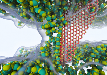 Designing safer nanomaterials and medicines with the aid of supercomputers